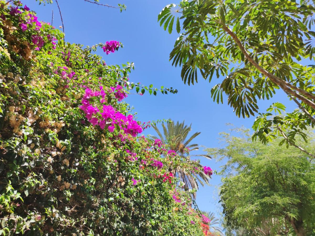 Villa Zinnia Playa Blanca  Eksteriør bilde